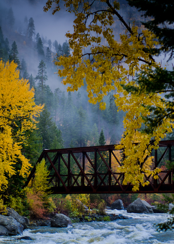 fall_leaves_tumwater-2