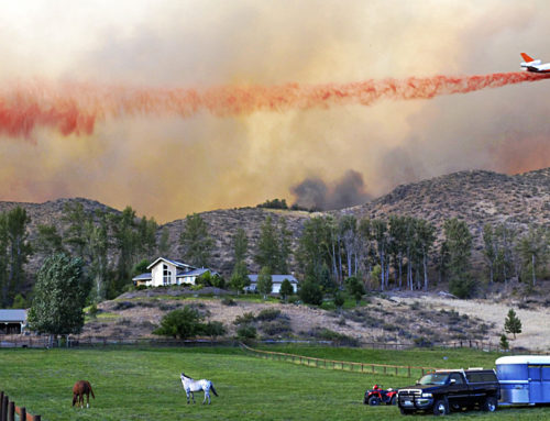 Photo of the Moment: Area Wildfires & How to Help Your Neighbors in this Time of Need